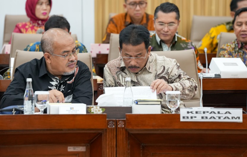 Pagu Anggaran BP Batam