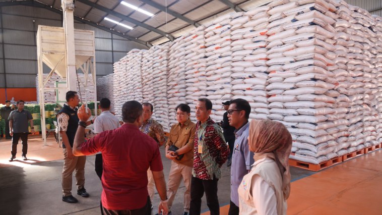 Harga Beras Naik
