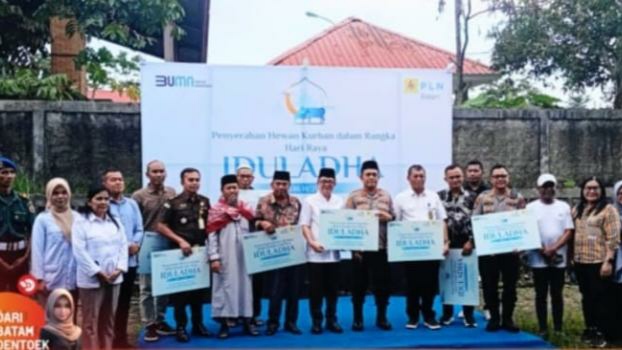 Hewan Kurban PLN