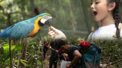 Panbil Nature Reserve