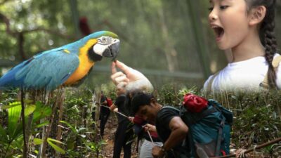 Panbil Nature Reserve