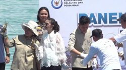 Panen Lobster di Batam
