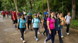 Villa Panbil Agen Properti