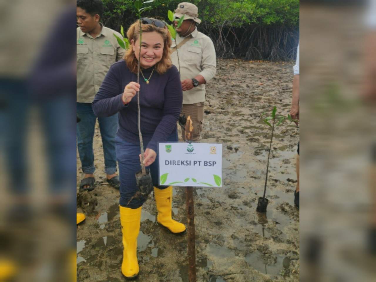 Mangrove di Ngenang